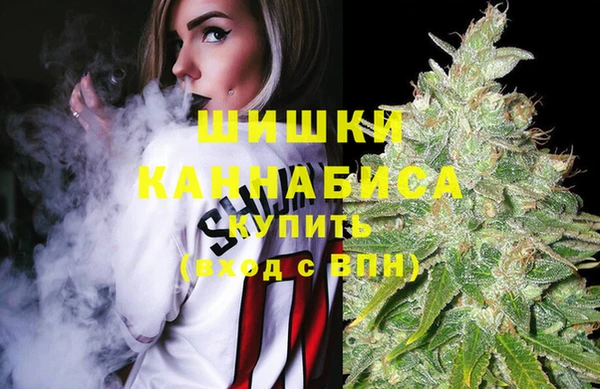 spice Абинск