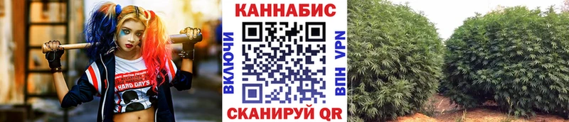 наркота  Смоленск  Каннабис THC 21% 